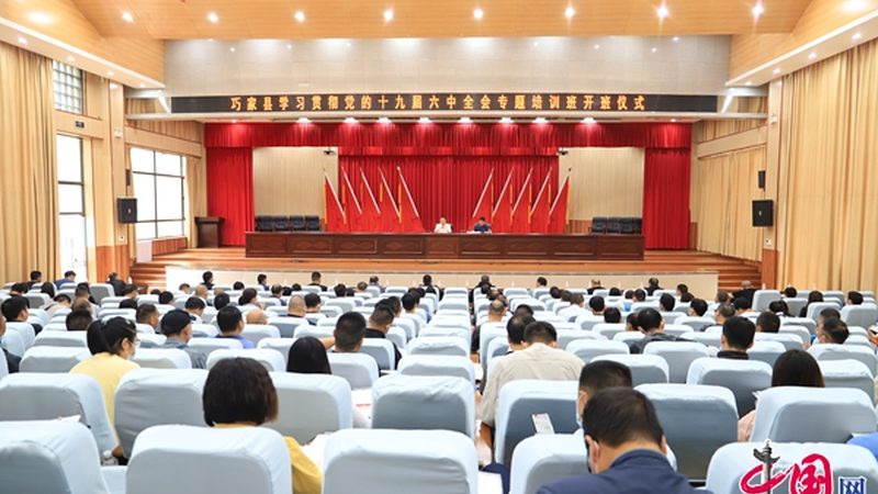 企业内训定制与标准课程：如何选择更适合您的培训方案**